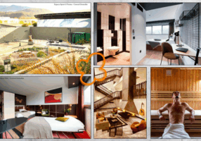 Site web - article Grenoble