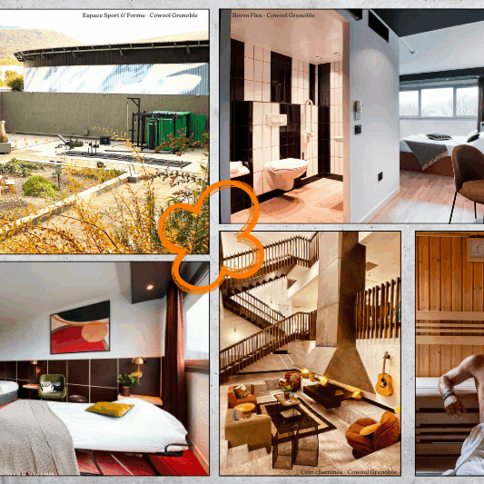 Site web - article Grenoble