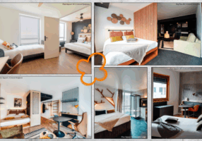 Site web - article coliving