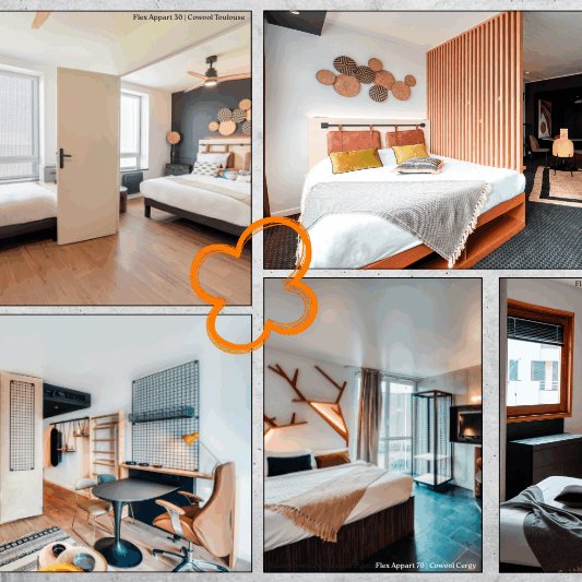 Site web - article coliving